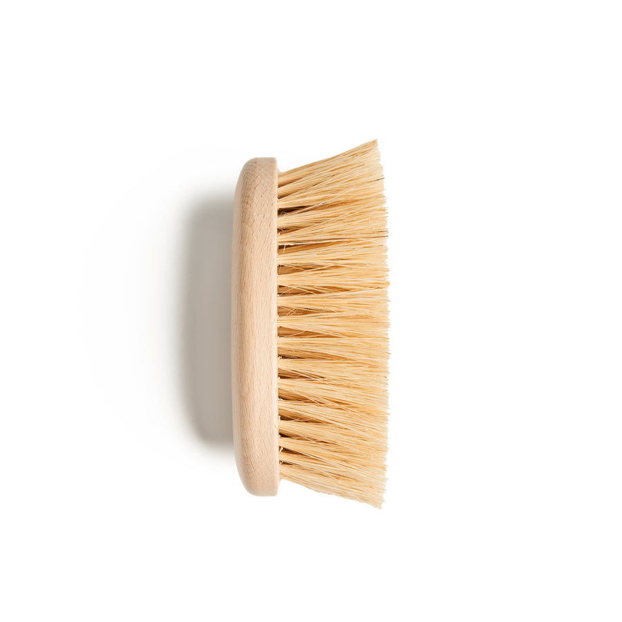 Cactus Bristle Dry Brush